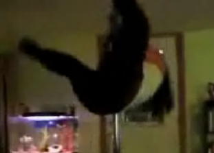 Homemade Stripper Pole